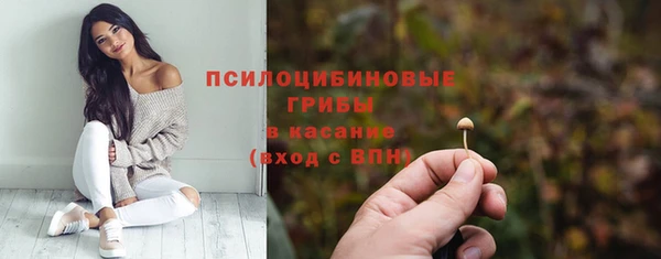 дживик Балахна