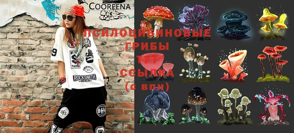 ПСИЛОЦИБИНОВЫЕ ГРИБЫ Арсеньев