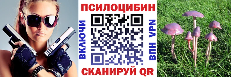 Псилоцибиновые грибы MAGIC MUSHROOMS  Волчанск 